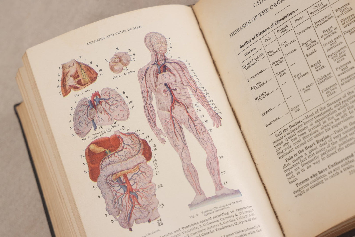 Lot 231 - "Nature's Secrets Revealed: Scientific Knowledge Of The Laws Of Sex Life And Heredity Or Eugenics" Antique Book By T. W. Shannon, Published By The S. A. Mullikin Company, Marietta, Ohio, 1915