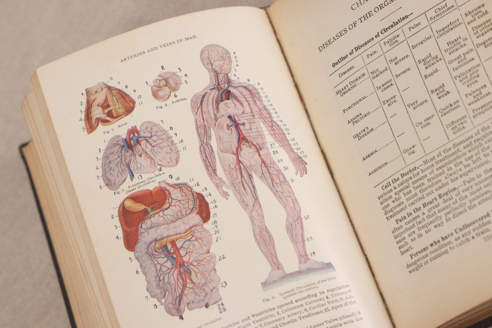 Lot 231 - "Nature's Secrets Revealed: Scientific Knowledge Of The Laws Of Sex Life And Heredity Or Eugenics" Antique Book By T. W. Shannon, Published By The S. A. Mullikin Company, Marietta, Ohio, 1915