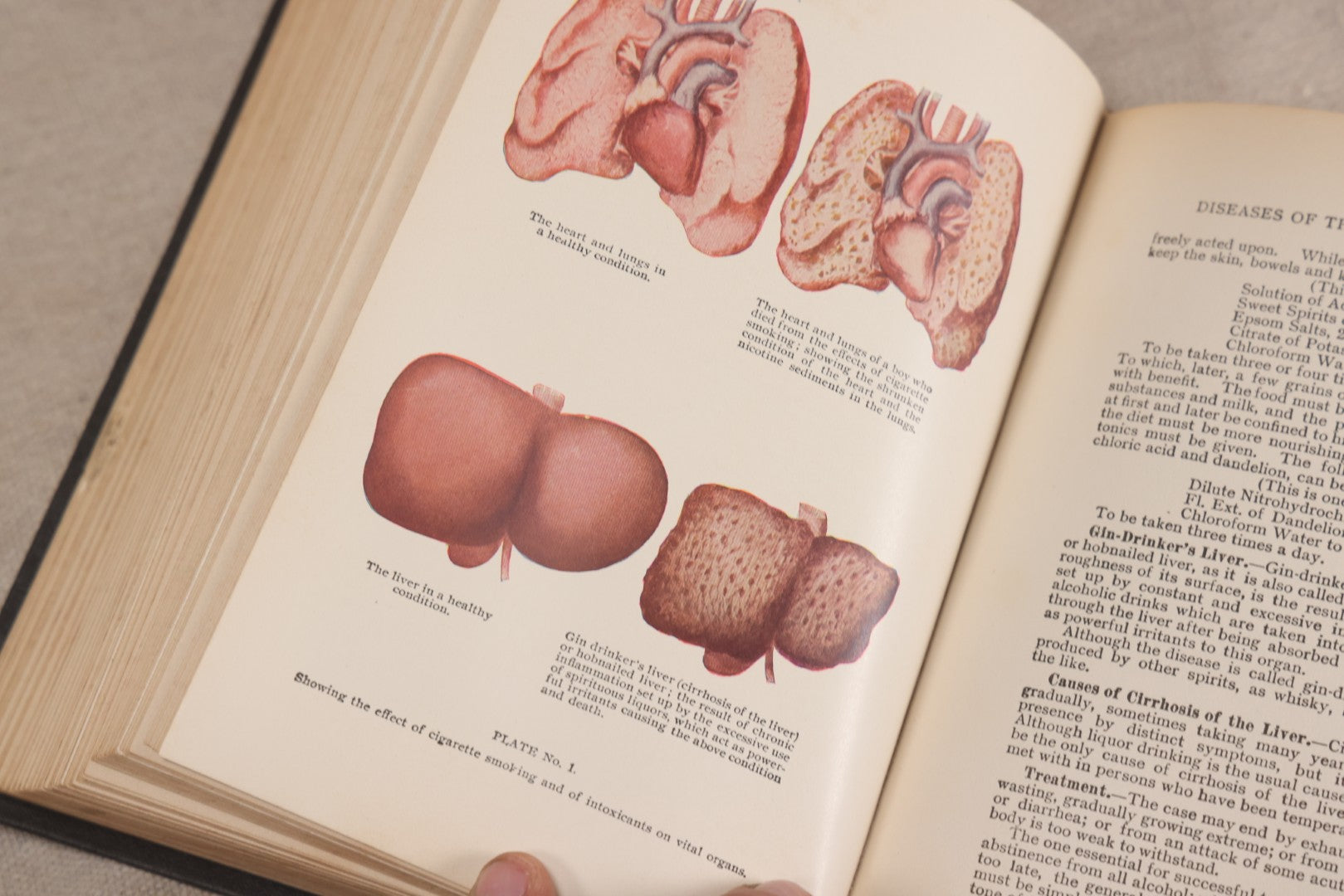 Lot 231 - "Nature's Secrets Revealed: Scientific Knowledge Of The Laws Of Sex Life And Heredity Or Eugenics" Antique Book By T. W. Shannon, Published By The S. A. Mullikin Company, Marietta, Ohio, 1915
