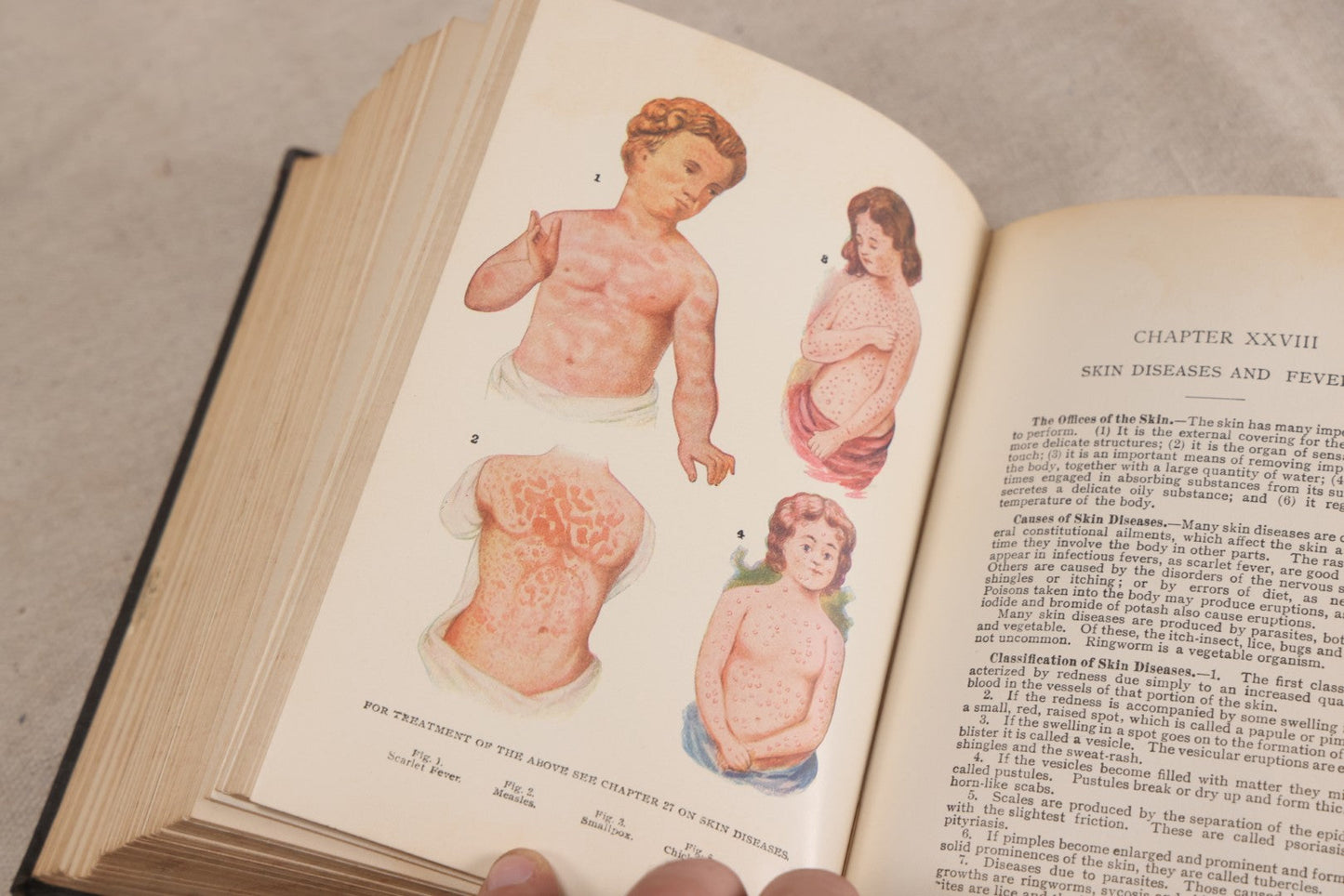 Lot 231 - "Nature's Secrets Revealed: Scientific Knowledge Of The Laws Of Sex Life And Heredity Or Eugenics" Antique Book By T. W. Shannon, Published By The S. A. Mullikin Company, Marietta, Ohio, 1915