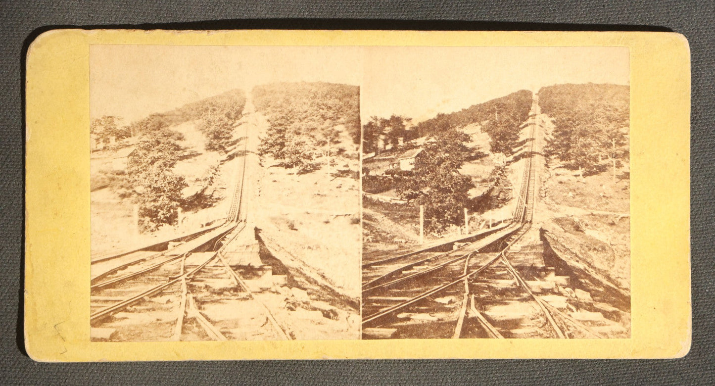 Lot 094 - Grouping Of 17 Antique Stereoview Cards Including Full Moon By Prof. H. Draper, Mrs. McKinley At The Executive Mansion, Ice Palace Montreal 1884, And La Porte Monumentale Paris 1900