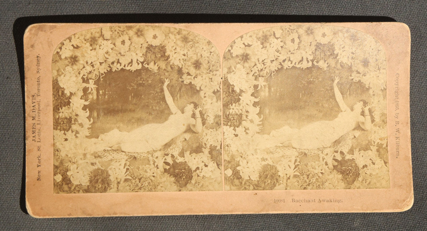Lot 094 - Grouping Of 17 Antique Stereoview Cards Including Full Moon By Prof. H. Draper, Mrs. McKinley At The Executive Mansion, Ice Palace Montreal 1884, And La Porte Monumentale Paris 1900