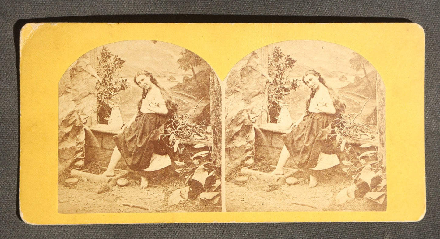 Lot 094 - Grouping Of 17 Antique Stereoview Cards Including Full Moon By Prof. H. Draper, Mrs. McKinley At The Executive Mansion, Ice Palace Montreal 1884, And La Porte Monumentale Paris 1900