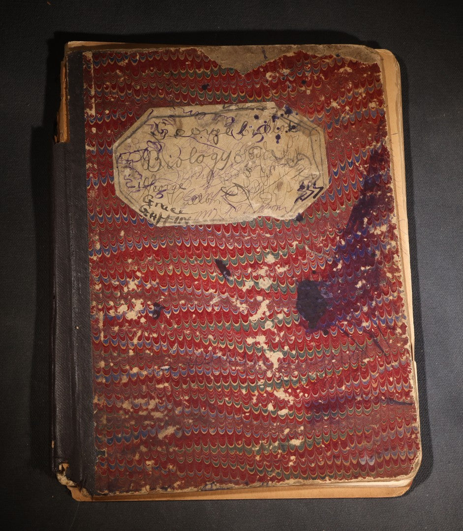 Lot 096 - Antique Handwritten Biology Notebook With Hand-Drawn Insect And Animal Illustrations, George T. Cullom, Lexington, Missouri, Marbled Paper Covers