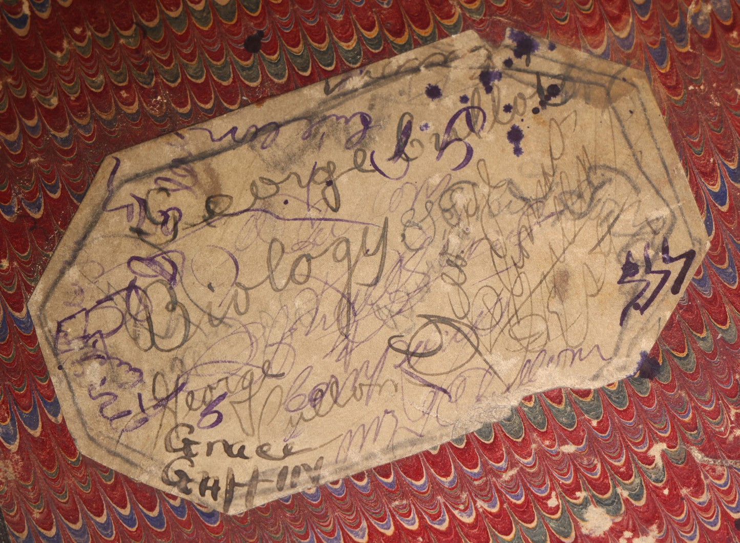 Lot 096 - Antique Handwritten Biology Notebook With Hand-Drawn Insect And Animal Illustrations, George T. Cullom, Lexington, Missouri, Marbled Paper Covers