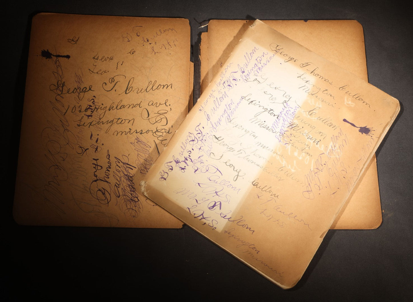 Lot 096 - Antique Handwritten Biology Notebook With Hand-Drawn Insect And Animal Illustrations, George T. Cullom, Lexington, Missouri, Marbled Paper Covers
