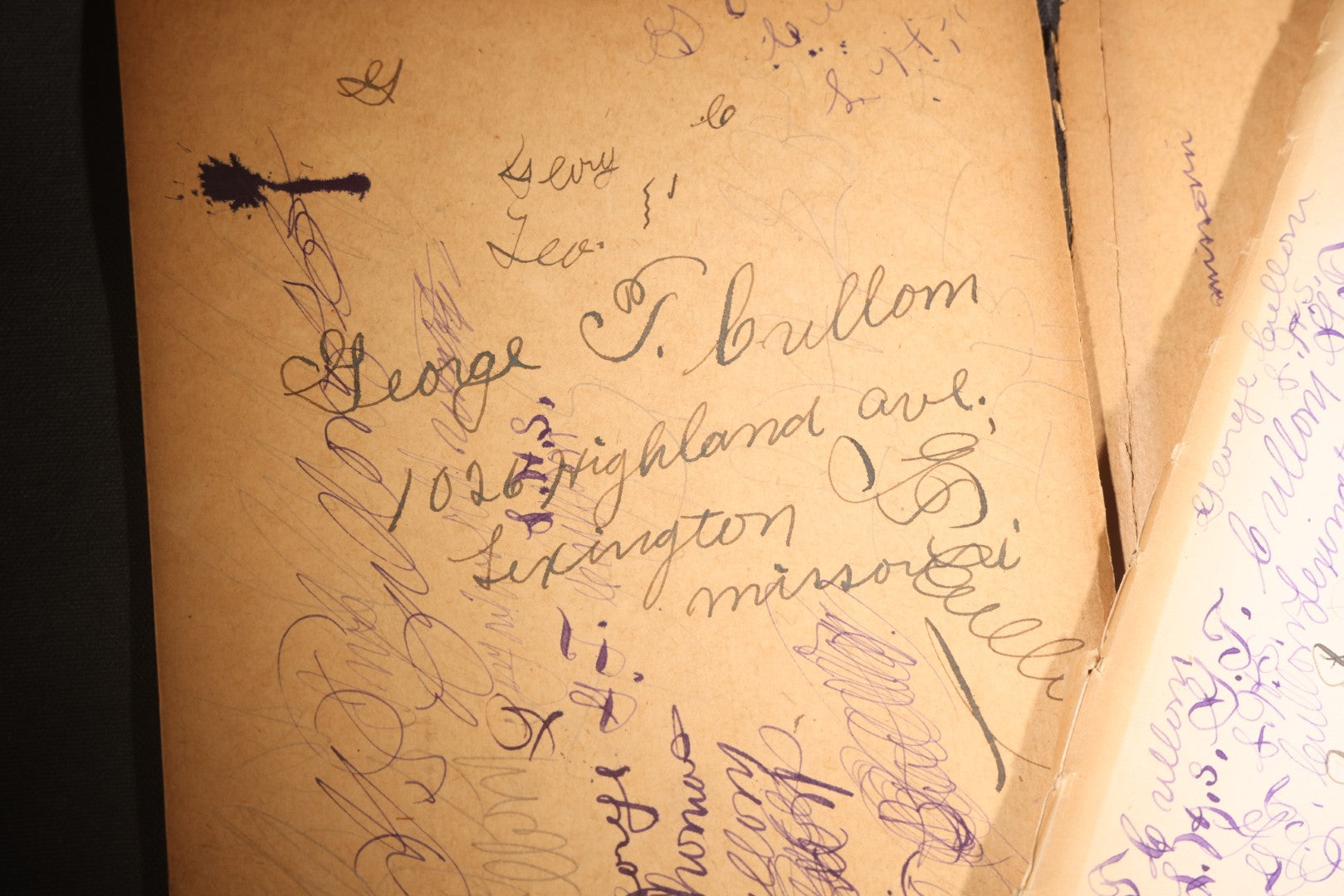 Lot 096 - Antique Handwritten Biology Notebook With Hand-Drawn Insect And Animal Illustrations, George T. Cullom, Lexington, Missouri, Marbled Paper Covers