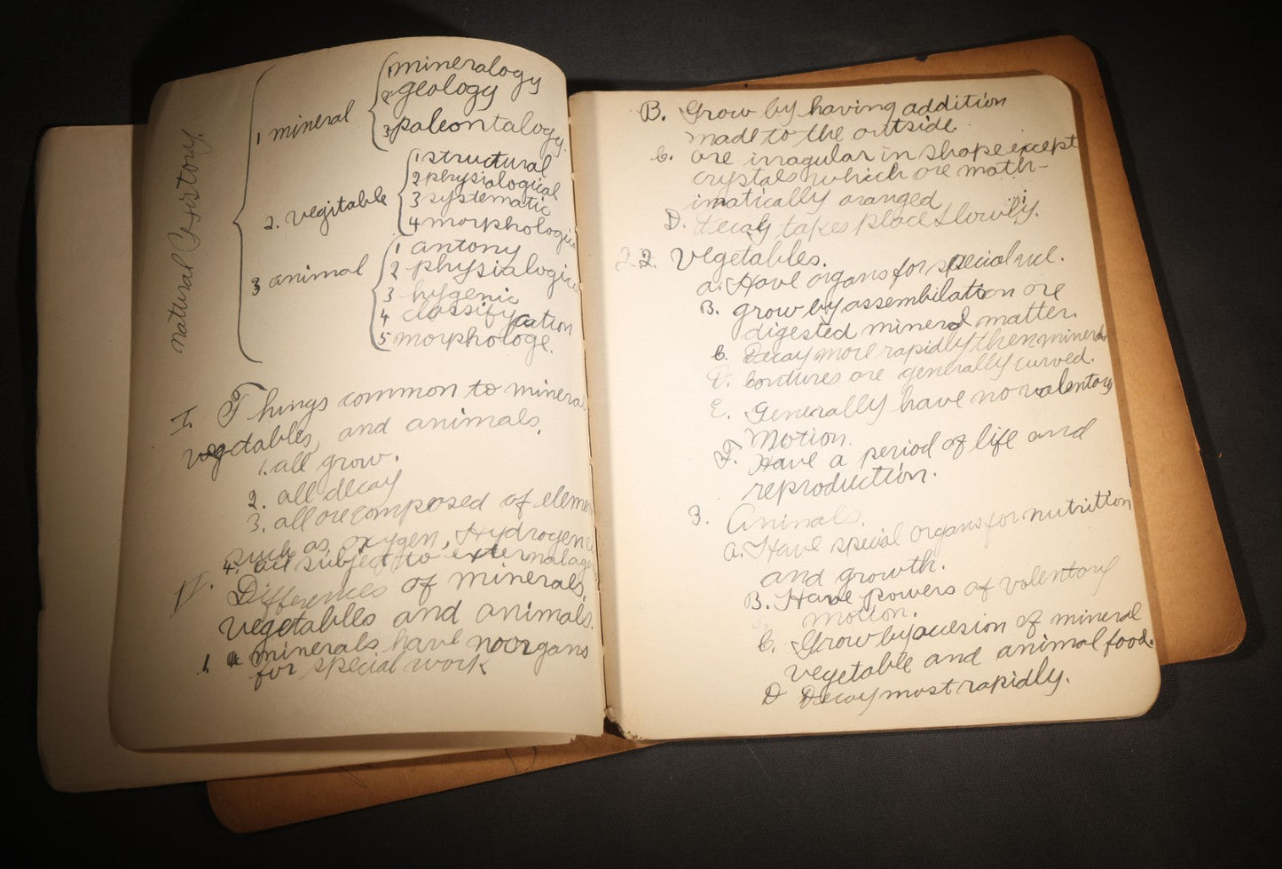 Lot 096 - Antique Handwritten Biology Notebook With Hand-Drawn Insect And Animal Illustrations, George T. Cullom, Lexington, Missouri, Marbled Paper Covers