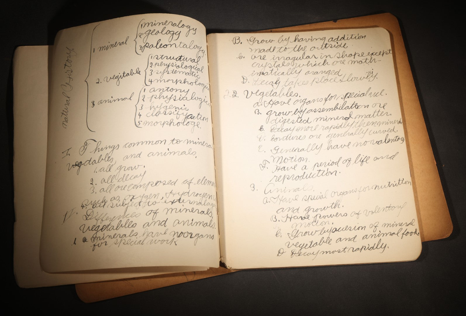 Lot 096 - Antique Handwritten Biology Notebook With Hand-Drawn Insect And Animal Illustrations, George T. Cullom, Lexington, Missouri, Marbled Paper Covers