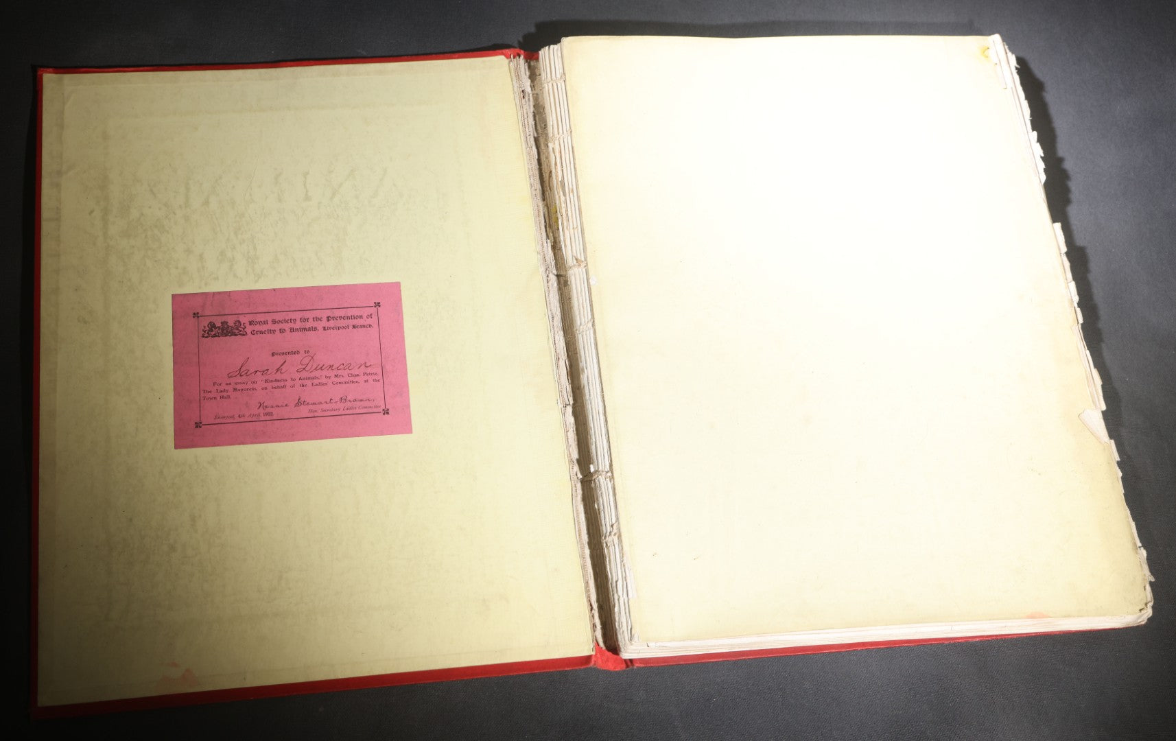 Lot 098 - "Animal World" Antique 1901 R.S.P.C.A. Royal Society For The Prevention Of Cruelty To Animals Bound Annual Compendium, Red Cloth With Gold-Stamped Bird, Presentation Copy To Sarah Duncan, Liverpool Branch, April 1902