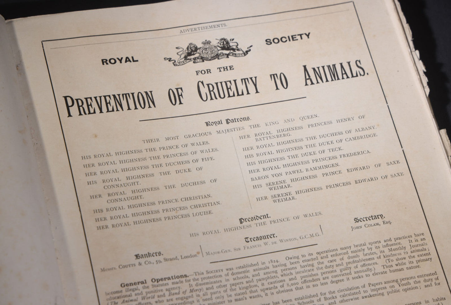 Lot 098 - "Animal World" Antique 1901 R.S.P.C.A. Royal Society For The Prevention Of Cruelty To Animals Bound Annual Compendium, Red Cloth With Gold-Stamped Bird, Presentation Copy To Sarah Duncan, Liverpool Branch, April 1902