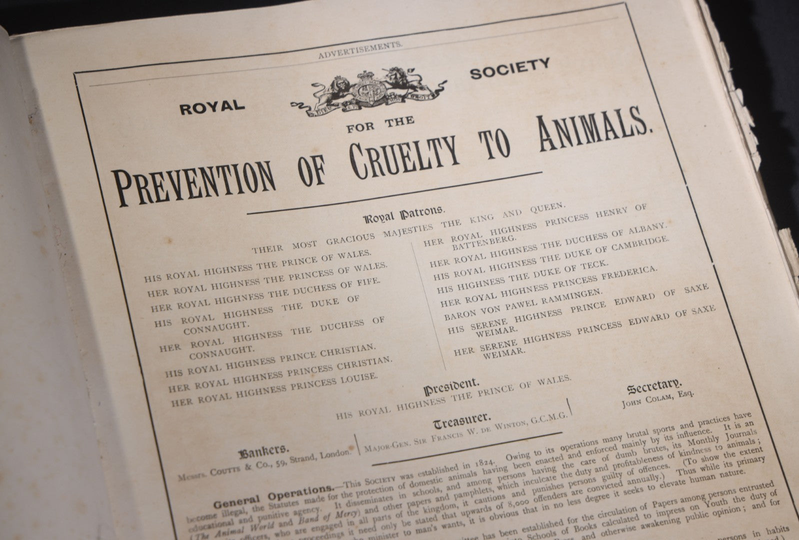 Lot 098 - "Animal World" Antique 1901 R.S.P.C.A. Royal Society For The Prevention Of Cruelty To Animals Bound Annual Compendium, Red Cloth With Gold-Stamped Bird, Presentation Copy To Sarah Duncan, Liverpool Branch, April 1902
