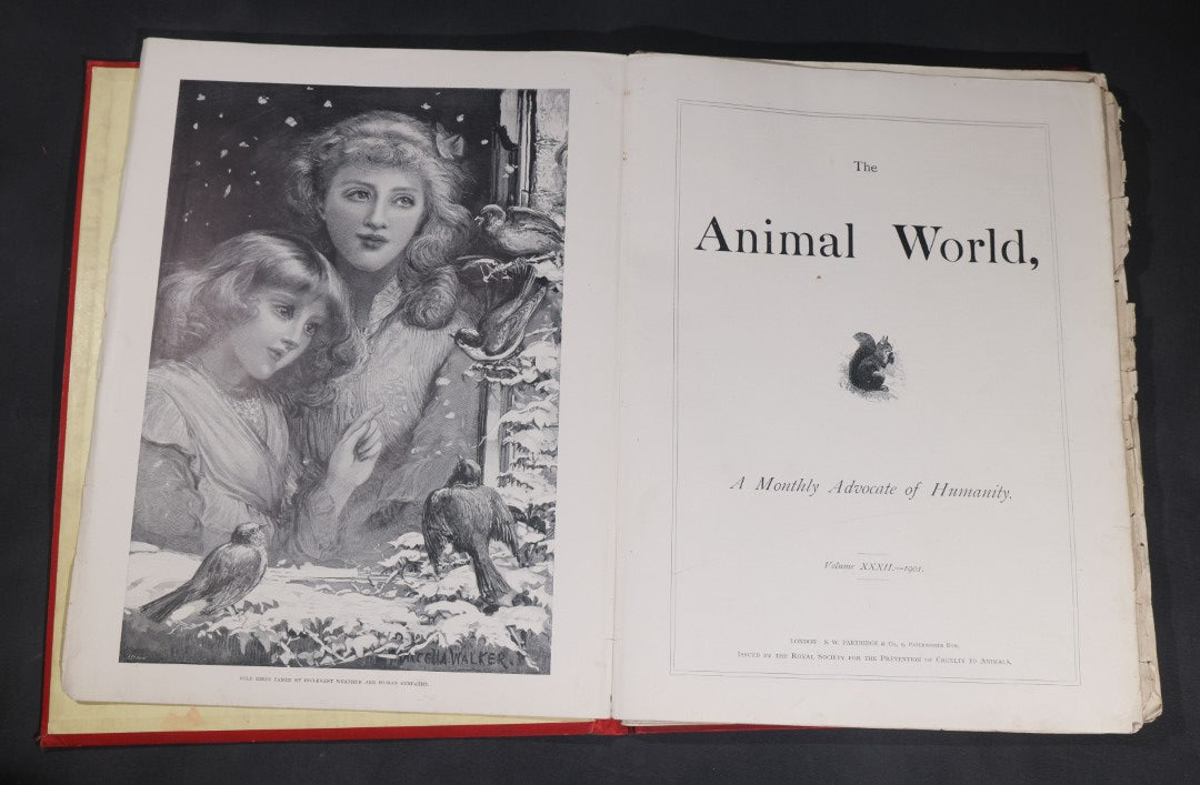 Lot 098 - "Animal World" Antique 1901 R.S.P.C.A. Royal Society For The Prevention Of Cruelty To Animals Bound Annual Compendium, Red Cloth With Gold-Stamped Bird, Presentation Copy To Sarah Duncan, Liverpool Branch, April 1902