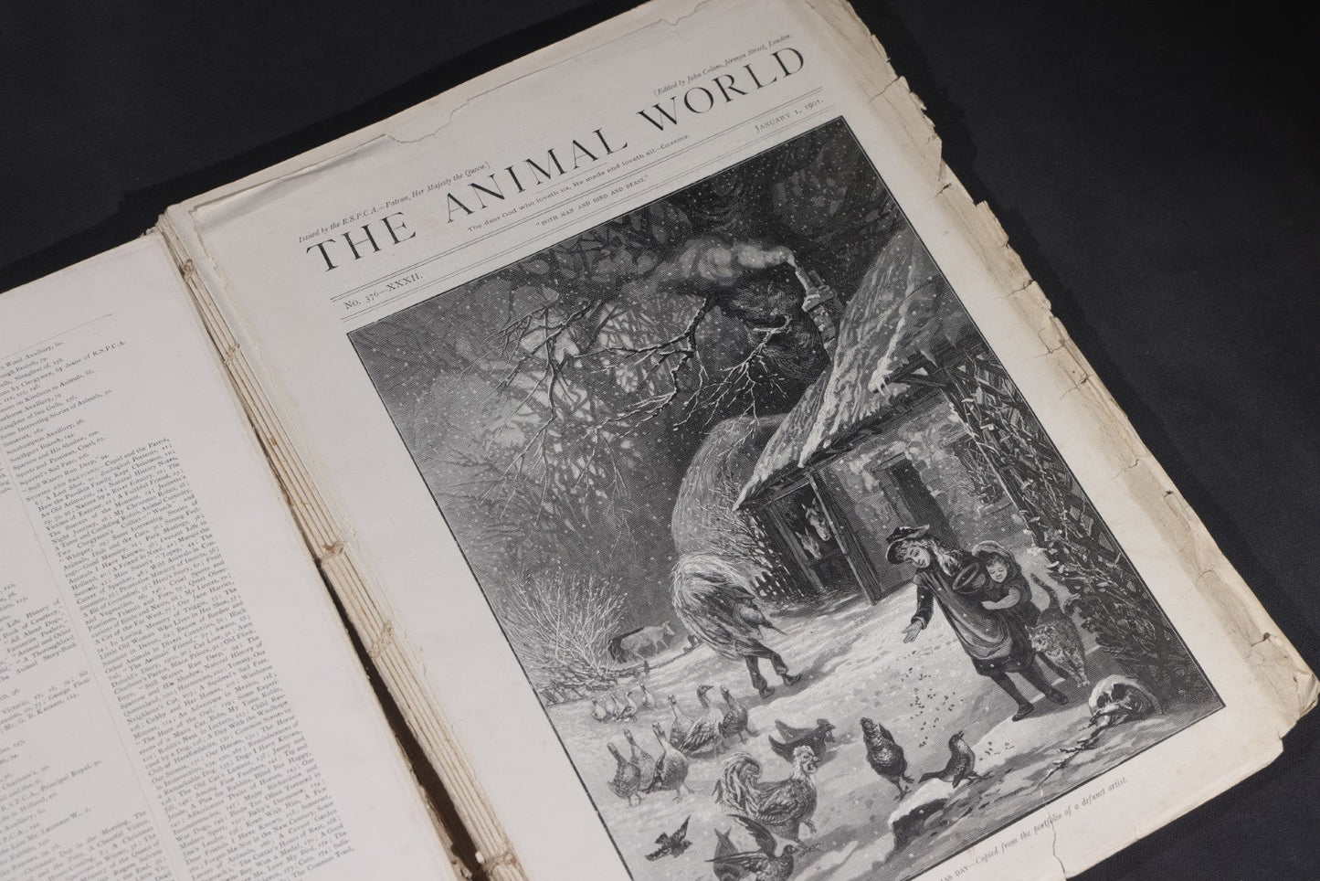 Lot 098 - "Animal World" Antique 1901 R.S.P.C.A. Royal Society For The Prevention Of Cruelty To Animals Bound Annual Compendium, Red Cloth With Gold-Stamped Bird, Presentation Copy To Sarah Duncan, Liverpool Branch, April 1902