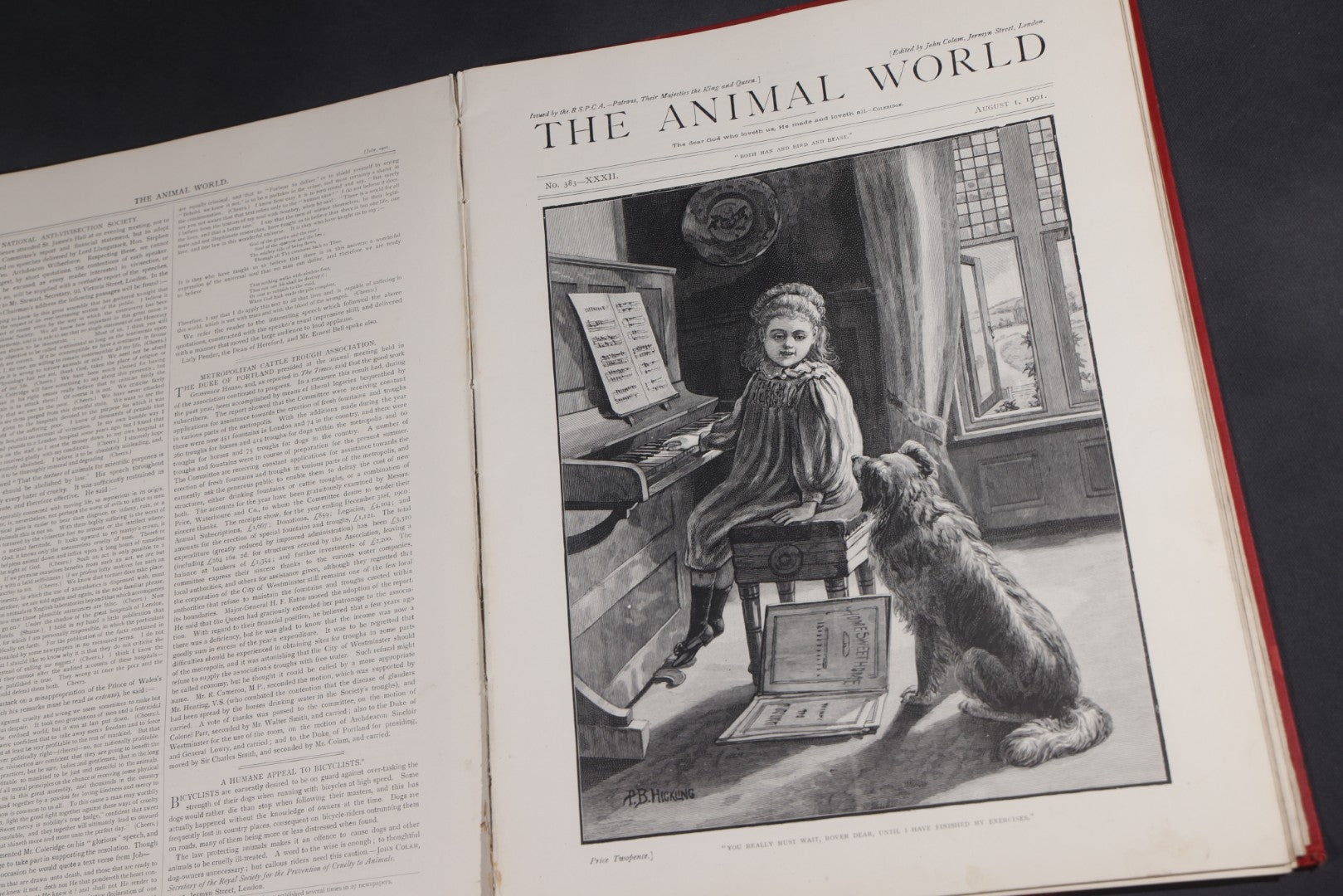 Lot 098 - "Animal World" Antique 1901 R.S.P.C.A. Royal Society For The Prevention Of Cruelty To Animals Bound Annual Compendium, Red Cloth With Gold-Stamped Bird, Presentation Copy To Sarah Duncan, Liverpool Branch, April 1902