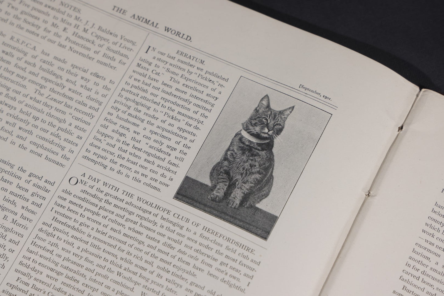 Lot 098 - "Animal World" Antique 1901 R.S.P.C.A. Royal Society For The Prevention Of Cruelty To Animals Bound Annual Compendium, Red Cloth With Gold-Stamped Bird, Presentation Copy To Sarah Duncan, Liverpool Branch, April 1902