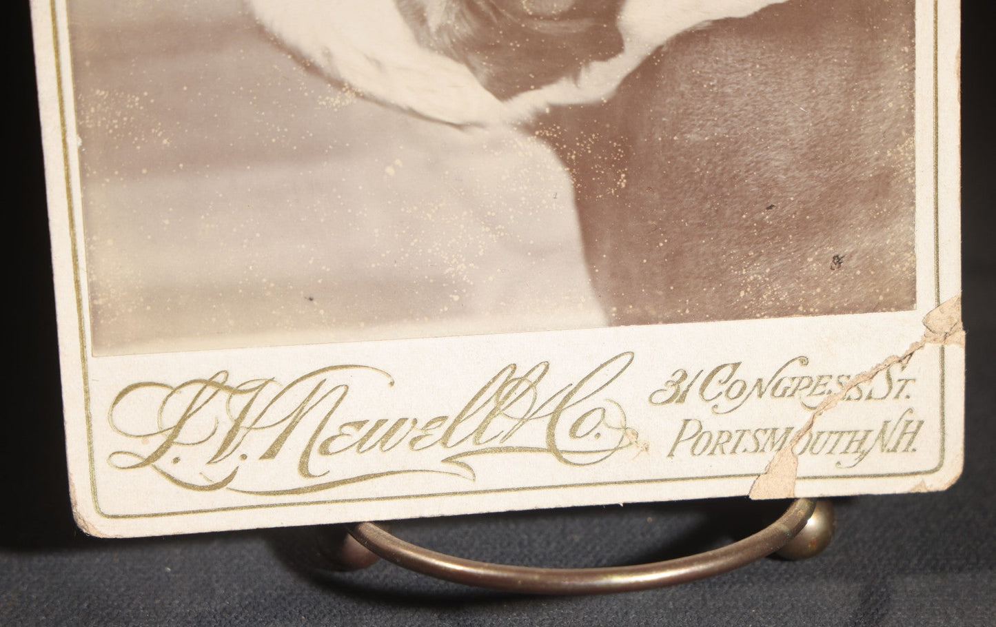 Lot 128 - Antique Cabinet Card Photograph Of A Saint Bernard Dog Resting On An Upholstered Surface, Photographed By L.V. Newell, Portsmouth, New Hampshire