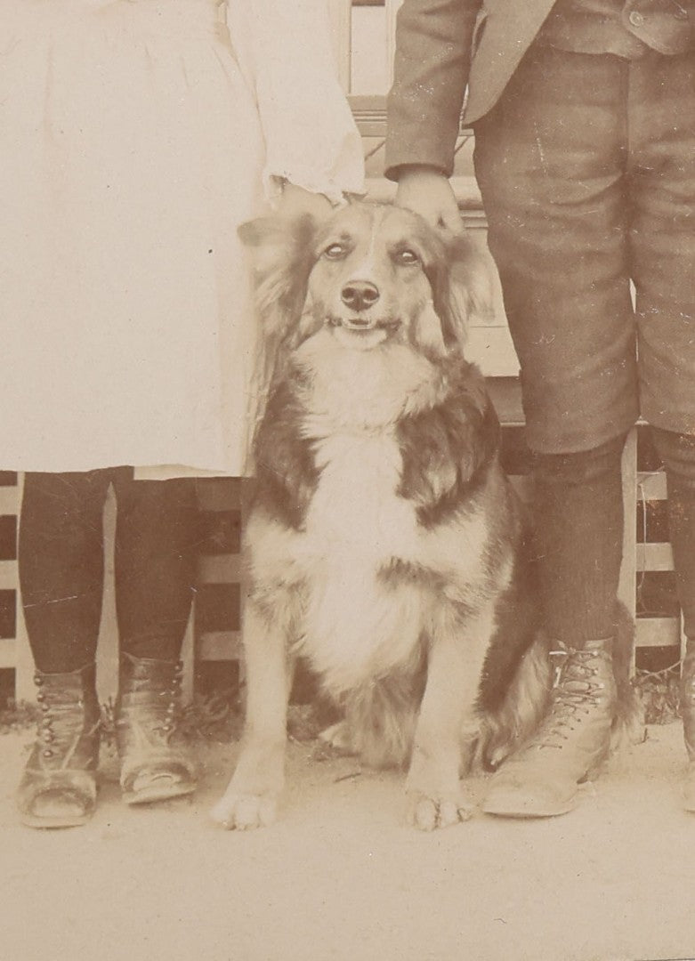 Lot 129 - Pair Of Antique Cabinet Card Photographs With Dogs, Young Woman With Black And White Dog Beside A Clapboard House And Two Children With A Collie On A Porch