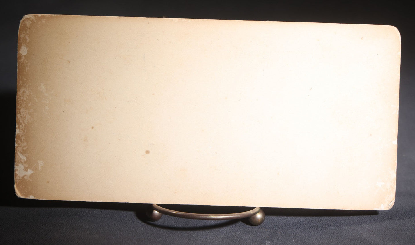 Lot 131 - Antique Board-Mounted Panoramic Photograph Of A Parade On Main Street, Storm Lake, Iowa, Photographed By Coman, Crowds, Horseback Rider, And American Flag