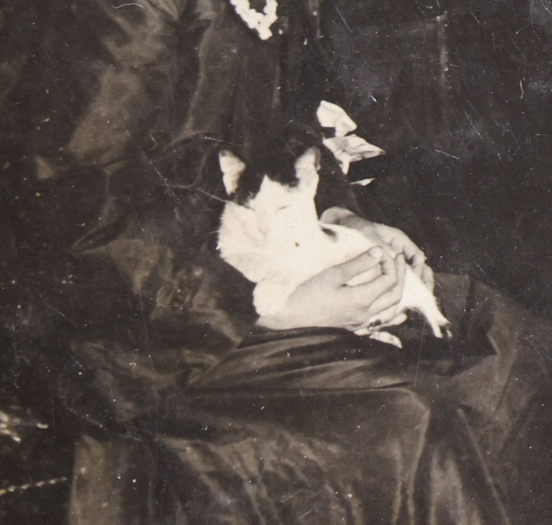 Lot 136 - Antique Board-Mounted Occupational Photograph Of A Woman Painting A Landscape At An Easel In A Parlor, Second Woman With Cat In Lap, Pencil-Inscribed "Lorna Penfold And Her Momma"