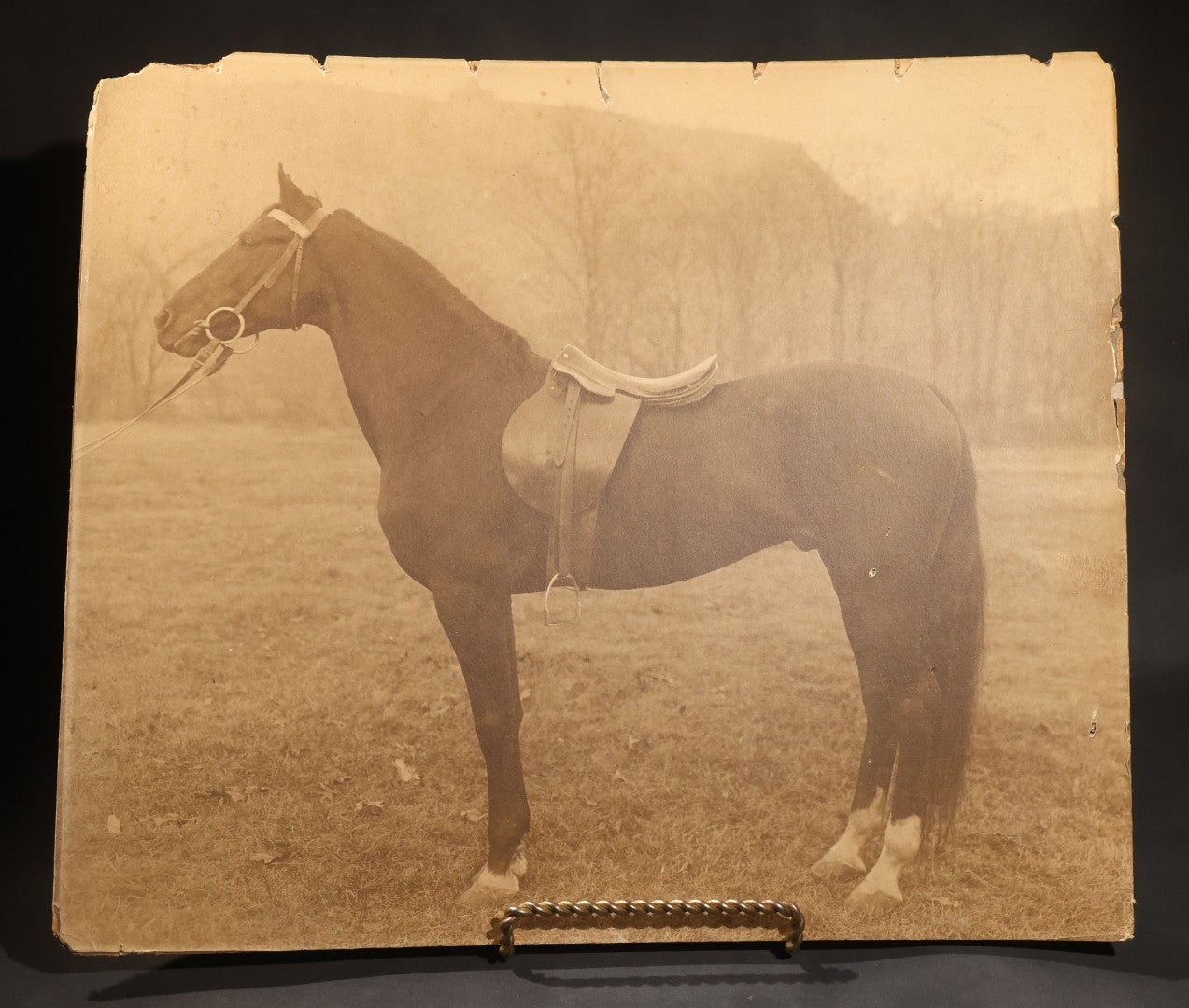 Lot 142 - Pair Of Antique Large-Format Board-Mounted Photographs Of "Hook McDonald By Rex McDonald," Saddled Horse Portrait And Man With Horse, East Rock, New Haven, Connecticut, Circa 1911-1912, 19-3/4" x 16-3/4" And 20" x 16"