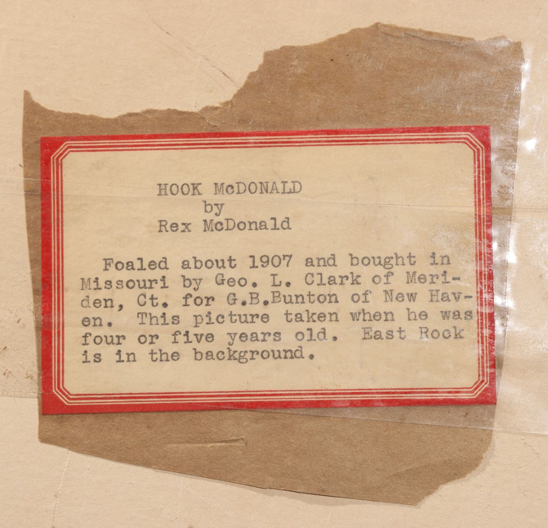 Lot 142 - Pair Of Antique Large-Format Board-Mounted Photographs Of "Hook McDonald By Rex McDonald," Saddled Horse Portrait And Man With Horse, East Rock, New Haven, Connecticut, Circa 1911-1912, 19-3/4" x 16-3/4" And 20" x 16"