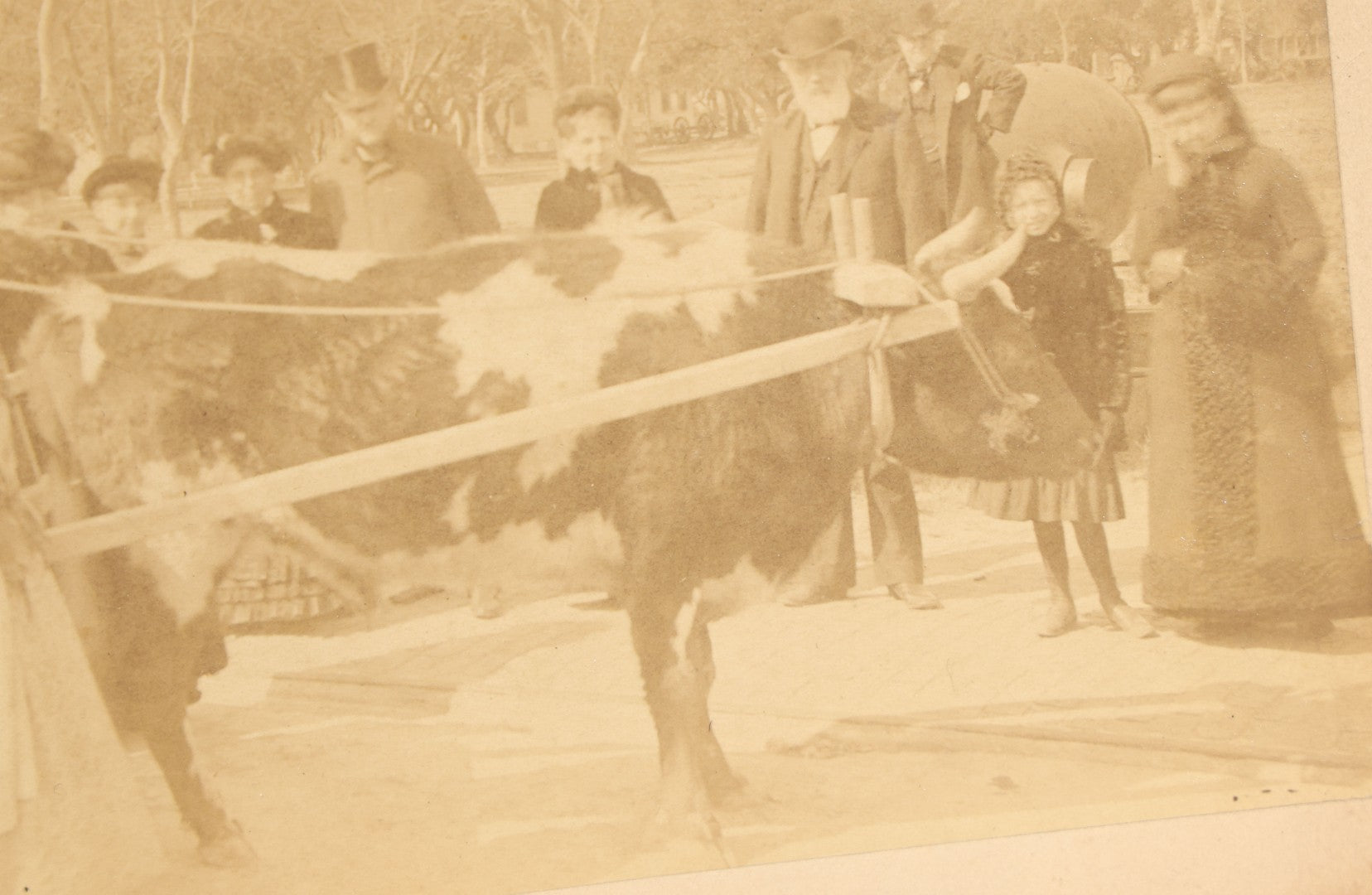 Lot 145 - Grouping Of Six Antique Board-Mounted Photographs Of Large Outdoor Group Gatherings, Including Ox Cart Scene With African American Woman, Porch Group With African American Domestic Staff, And Multi-Generational Assembly Before Farmstead