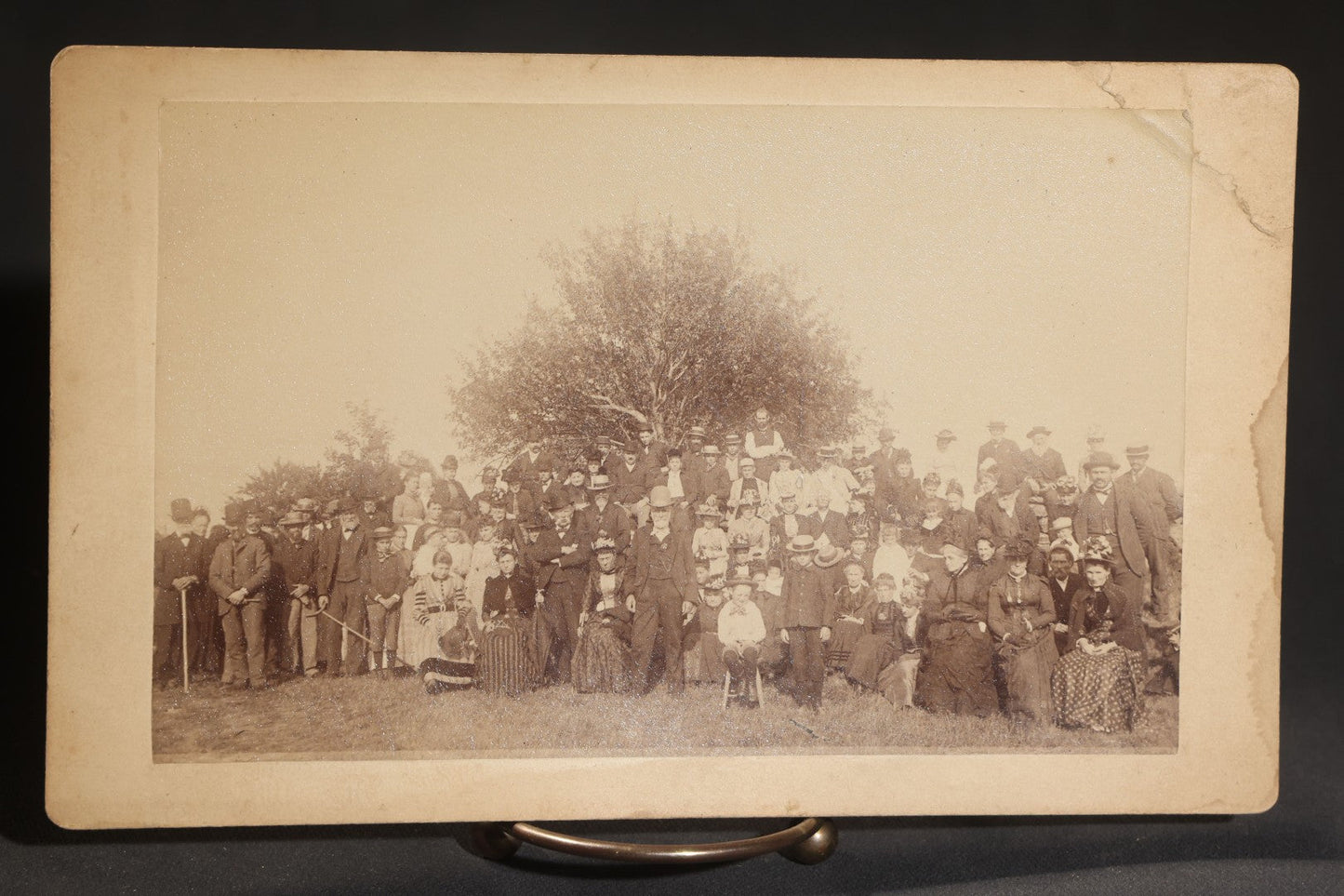 Lot 145 - Grouping Of Six Antique Board-Mounted Photographs Of Large Outdoor Group Gatherings, Including Ox Cart Scene With African American Woman, Porch Group With African American Domestic Staff, And Multi-Generational Assembly Before Farmstead