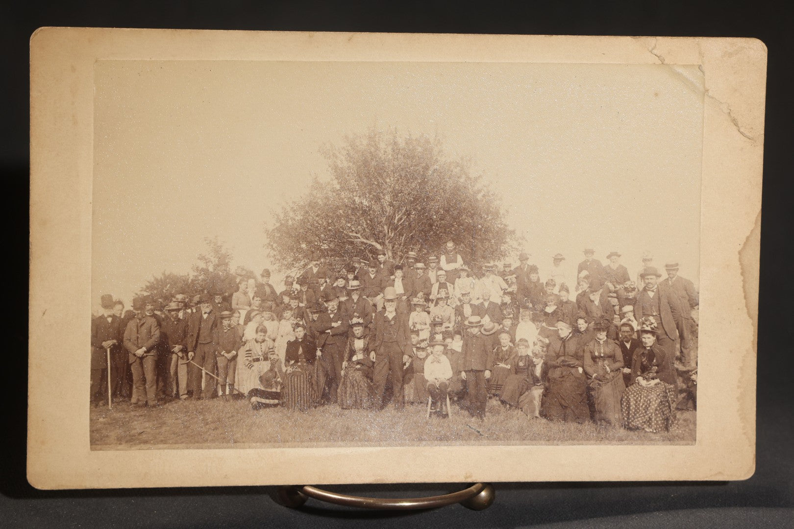 Lot 145 - Grouping Of Six Antique Board-Mounted Photographs Of Large Outdoor Group Gatherings, Including Ox Cart Scene With African American Woman, Porch Group With African American Domestic Staff, And Multi-Generational Assembly Before Farmstead