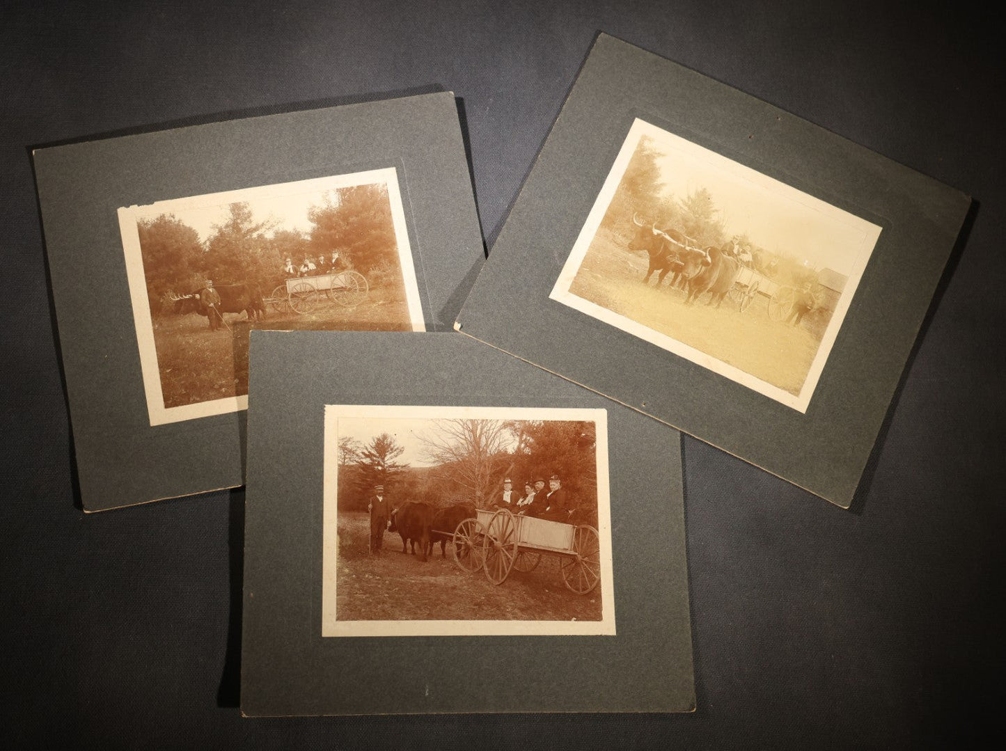 Lot 146 - Trio Of Antique Board-Mounted Photographs Of Ox-Drawn Wagons With Passengers In Rural Settings, Pencil Inscriptions On Verso