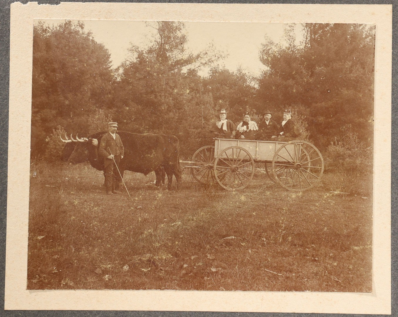 Lot 146 - Trio Of Antique Board-Mounted Photographs Of Ox-Drawn Wagons With Passengers In Rural Settings, Pencil Inscriptions On Verso