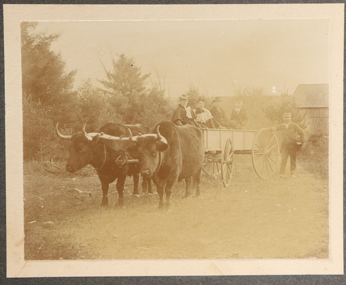 Lot 146 - Trio Of Antique Board-Mounted Photographs Of Ox-Drawn Wagons With Passengers In Rural Settings, Pencil Inscriptions On Verso