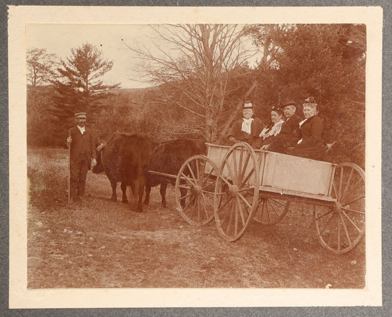 Lot 146 - Trio Of Antique Board-Mounted Photographs Of Ox-Drawn Wagons With Passengers In Rural Settings, Pencil Inscriptions On Verso