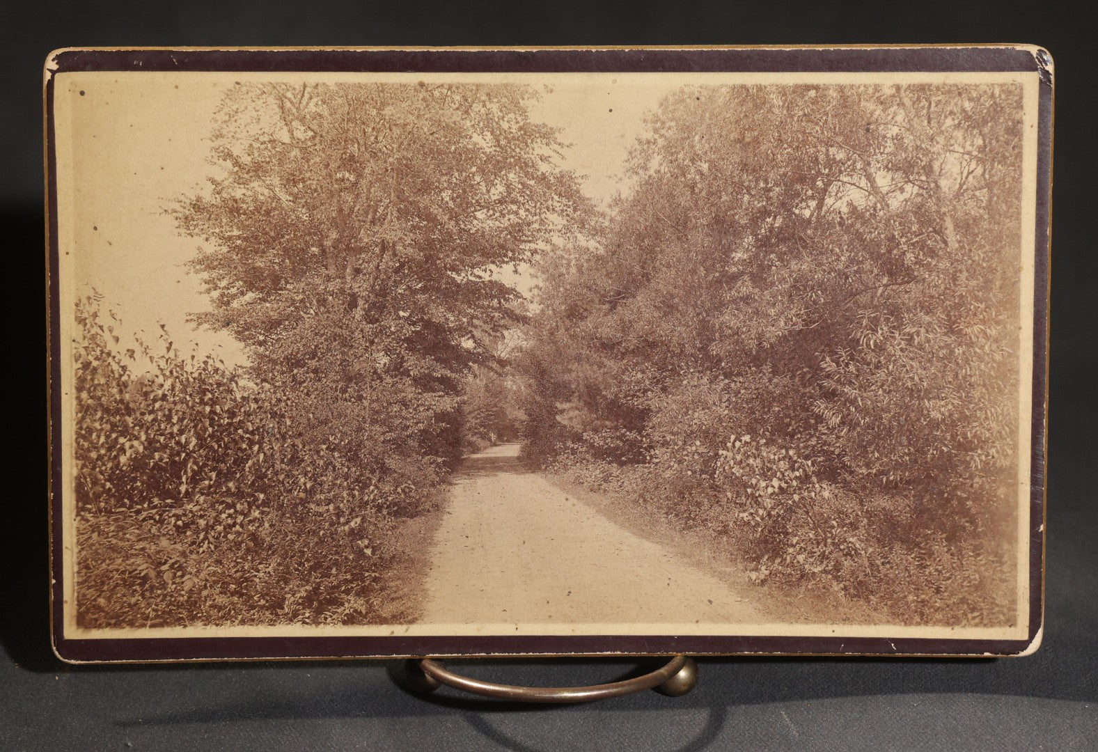 Lot 149 - Grouping Of 17 Antique Board-Mounted Photographs Including Natural Bridge Of Virginia, Landmarks Of Schuylerville New York, New Castle New Hampshire Views Photographed By Davis Bros Of Portsmouth, And Seascapes