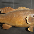 Lot 036 - Vintage Taxidermy Mounted Bass, Mounted by Vito Marchino, Jr., Highway 51, Woodruff, Wisconsin, Heavy Losses Throughout, 14-1/4" L x 6" H