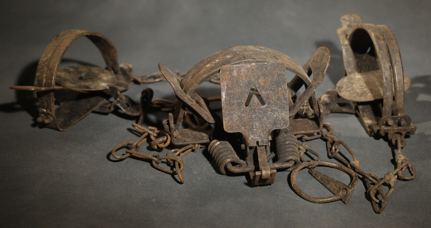 Trio of Vintage Iron Animal Traps Including Victor and Kangaroo No. 1-1/2 Examples, Heavy Surface Rust Throughout