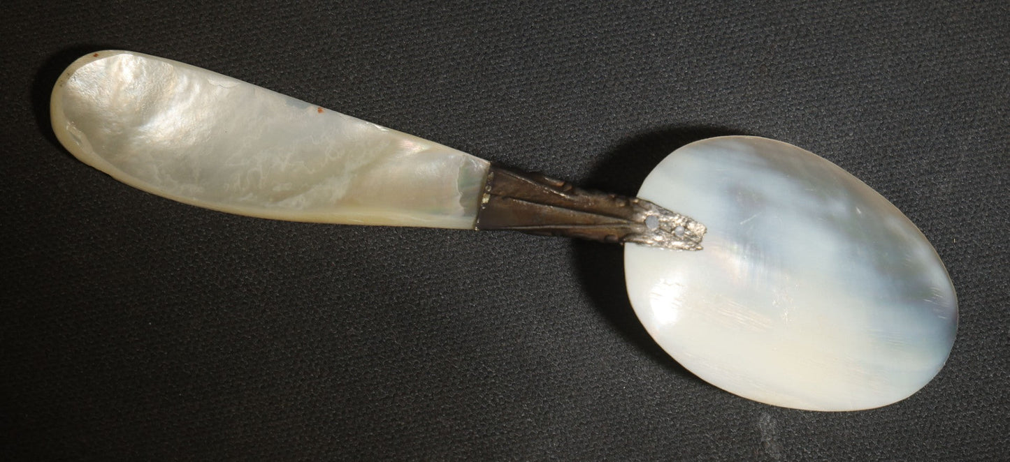 Vintage Mother-Of-Pearl Spoon with Engraved Metal Collar