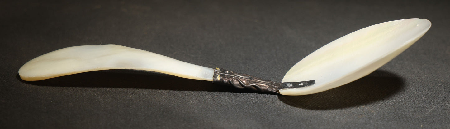 Vintage Mother-Of-Pearl Spoon with Engraved Metal Collar
