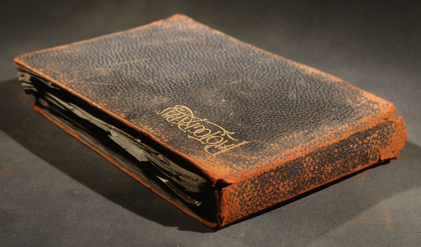 Antique Snapshot Album, Circa 1910-1920, 500+ Photographs of Family and Children Including Christmas, Farm Life, Winter Scenes, Asbury Park New Jersey, and Nantasket Beach Massachusetts