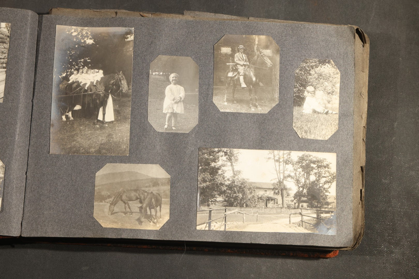 Antique Snapshot Album, Circa 1910-1920, 500+ Photographs of Family and Children Including Christmas, Farm Life, Winter Scenes, Asbury Park New Jersey, and Nantasket Beach Massachusetts