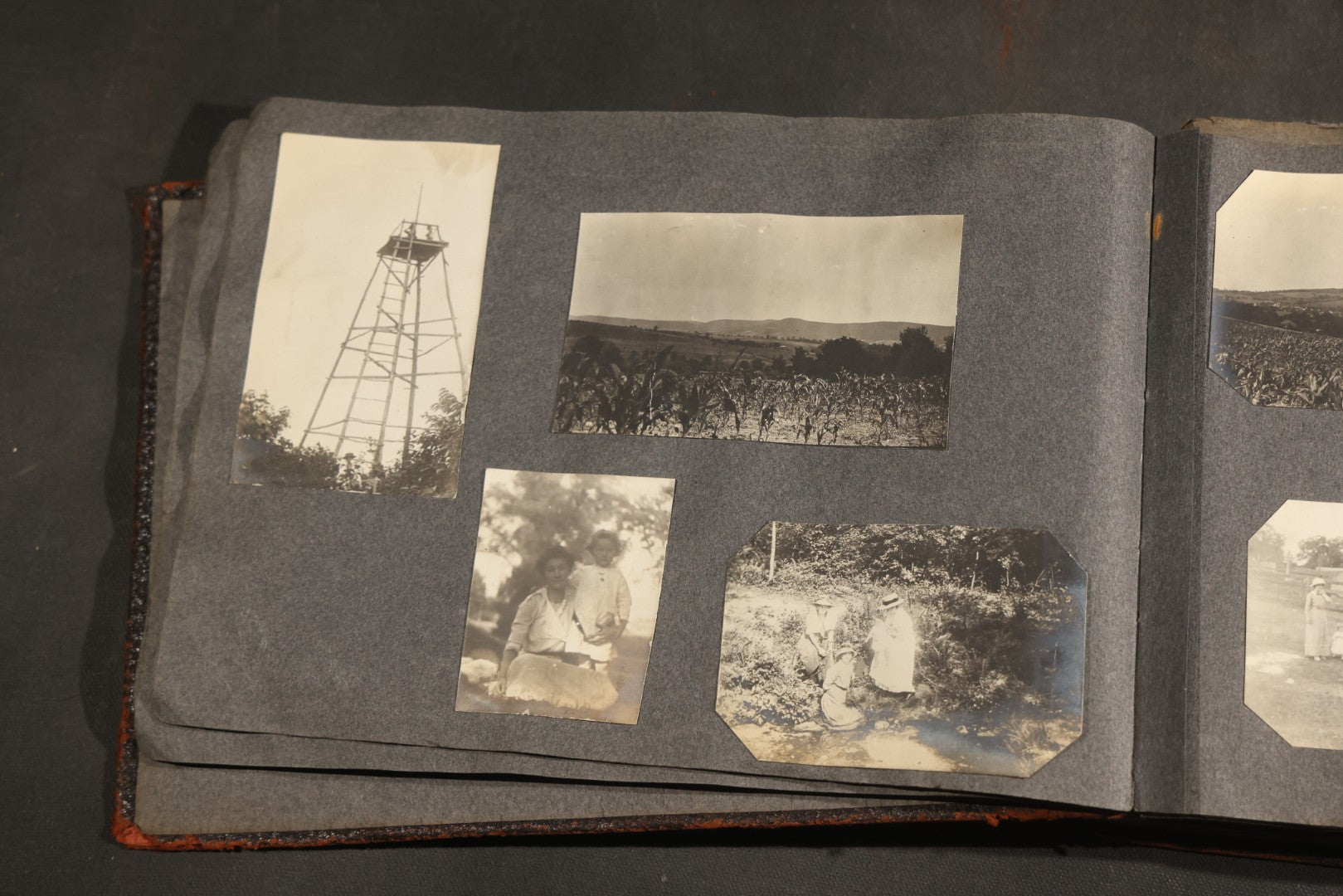Antique Snapshot Album, Circa 1910-1920, 500+ Photographs of Family and Children Including Christmas, Farm Life, Winter Scenes, Asbury Park New Jersey, and Nantasket Beach Massachusetts