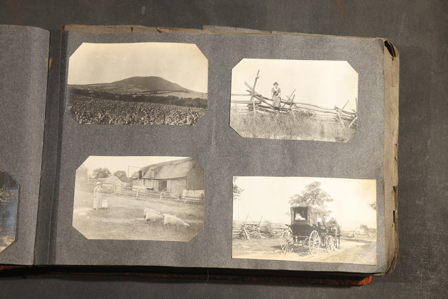 Antique Snapshot Album, Circa 1910-1920, 500+ Photographs of Family and Children Including Christmas, Farm Life, Winter Scenes, Asbury Park New Jersey, and Nantasket Beach Massachusetts