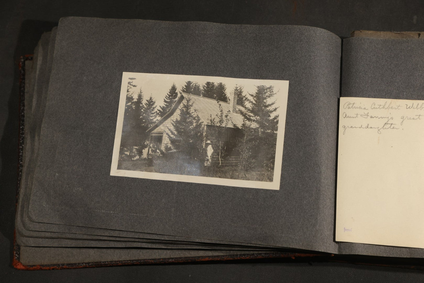 Antique Snapshot Album, Circa 1910-1920, 500+ Photographs of Family and Children Including Christmas, Farm Life, Winter Scenes, Asbury Park New Jersey, and Nantasket Beach Massachusetts
