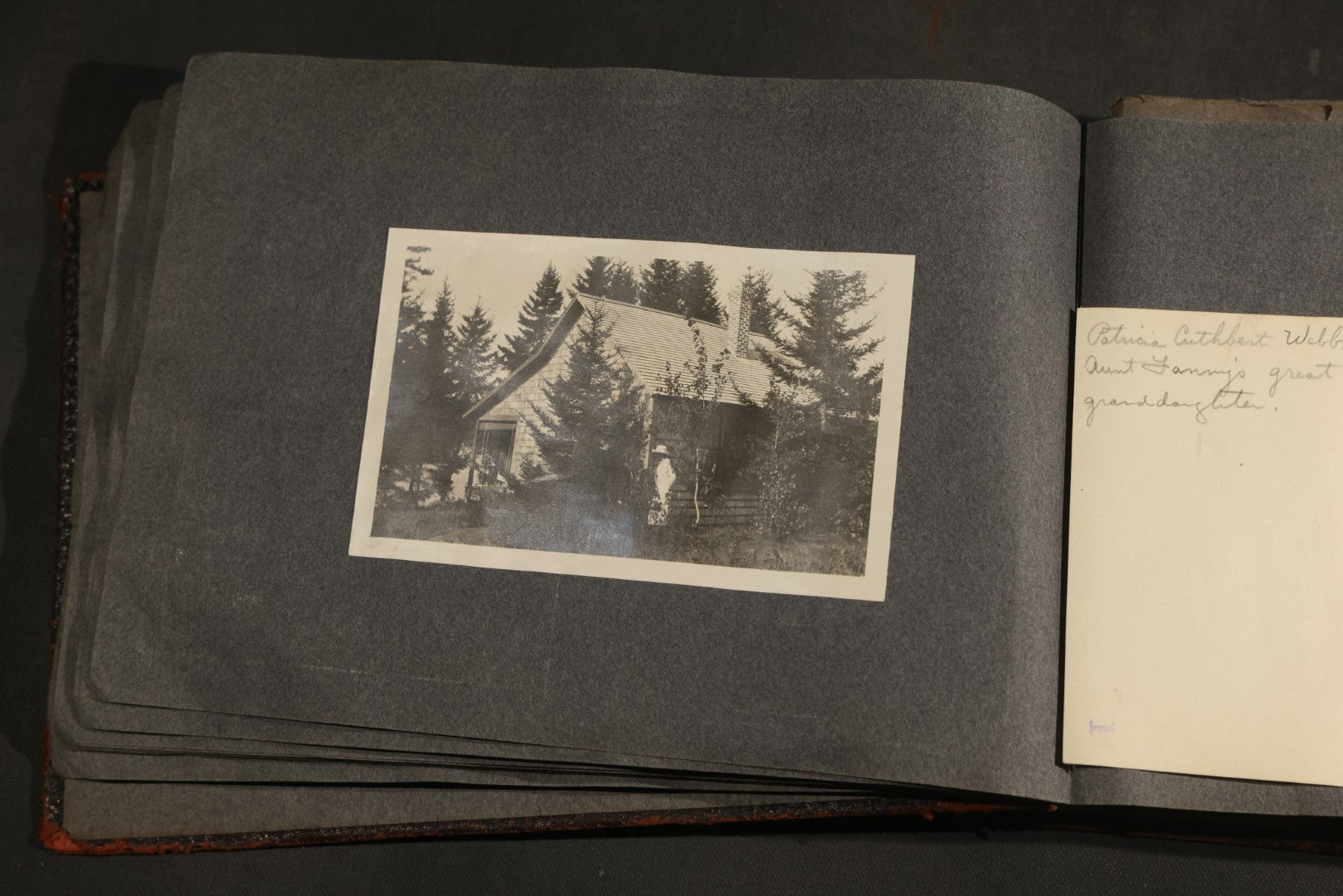 Antique Snapshot Album, Circa 1910-1920, 500+ Photographs of Family and Children Including Christmas, Farm Life, Winter Scenes, Asbury Park New Jersey, and Nantasket Beach Massachusetts