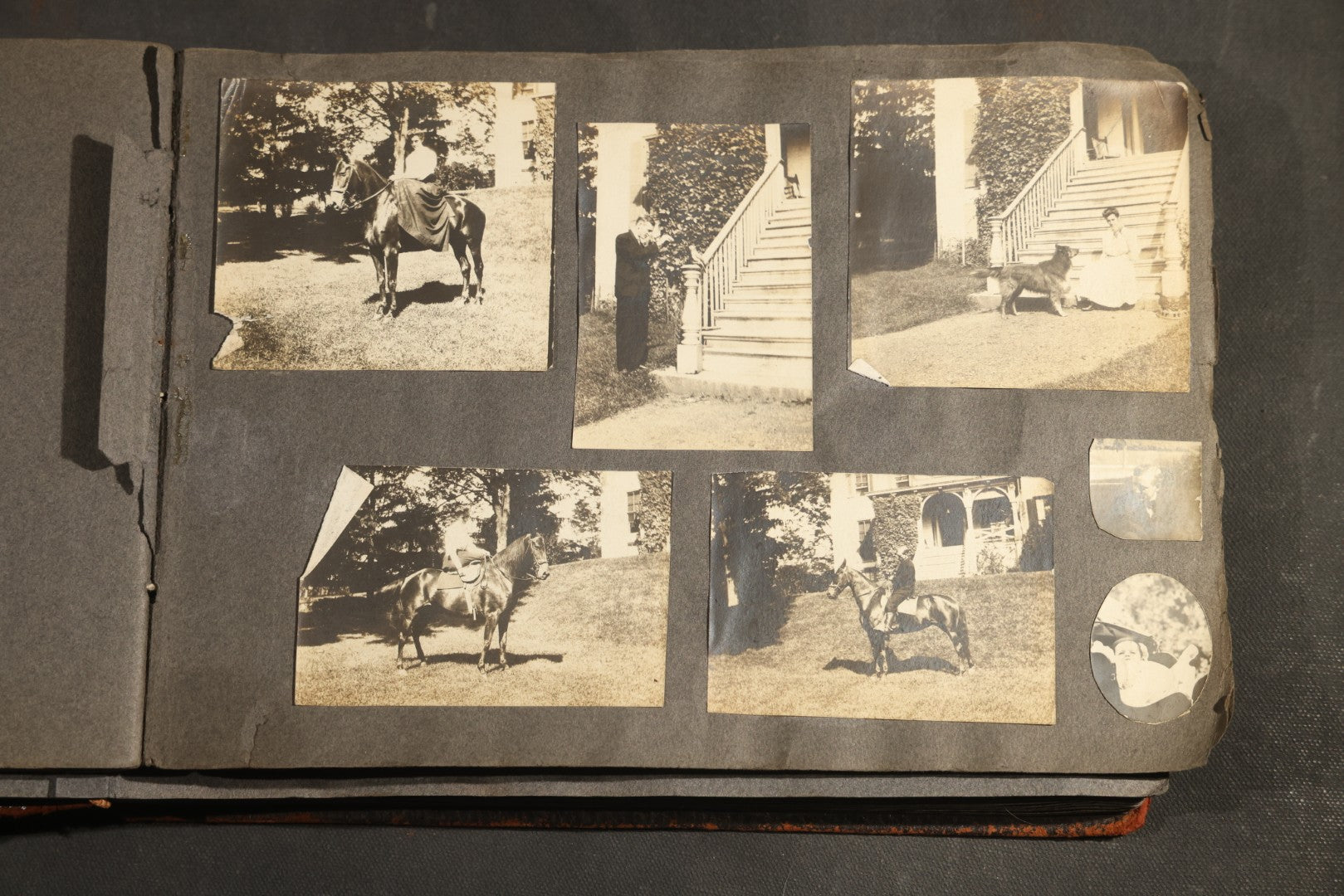 Antique Snapshot Album, Circa 1910-1920, 500+ Photographs of Family and Children Including Christmas, Farm Life, Winter Scenes, Asbury Park New Jersey, and Nantasket Beach Massachusetts