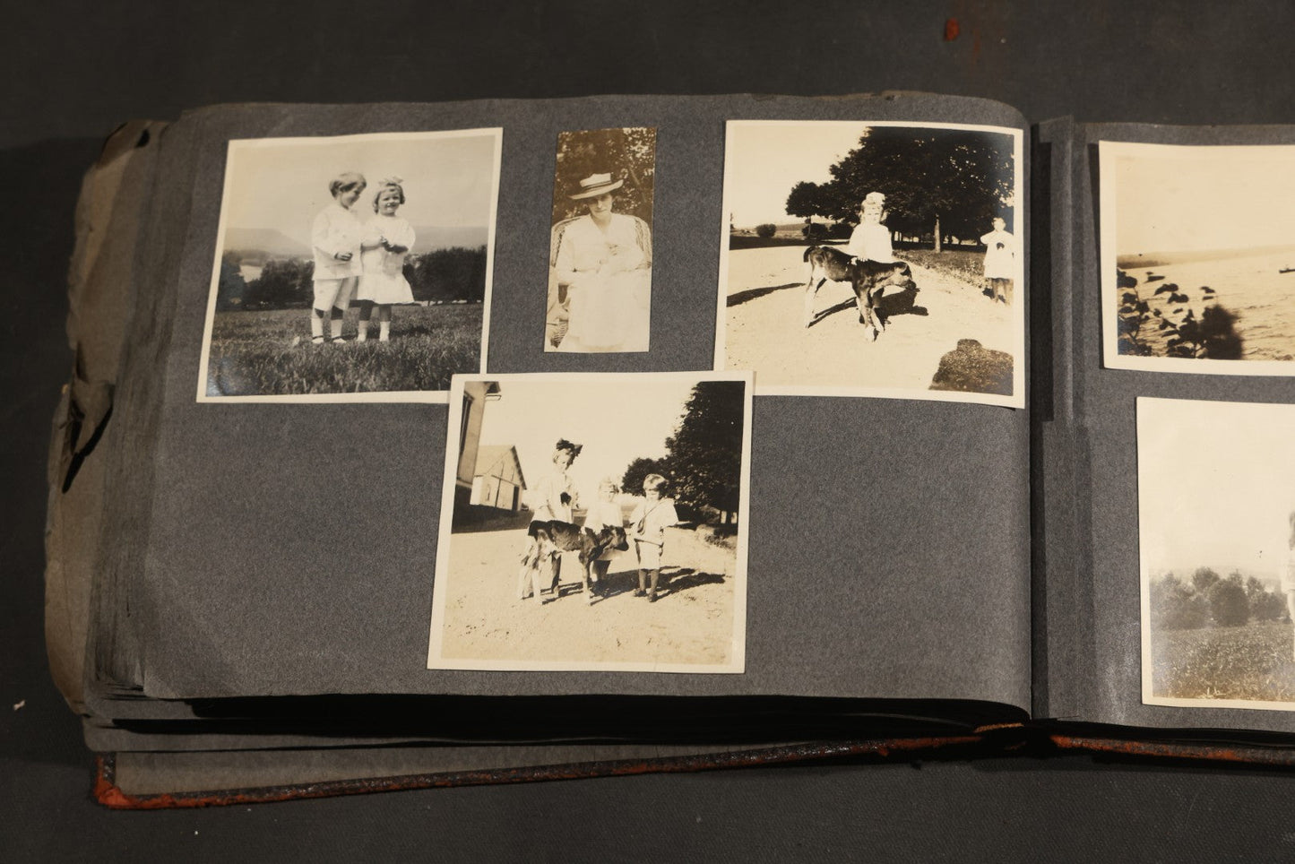 Antique Snapshot Album, Circa 1910-1920, 500+ Photographs of Family and Children Including Christmas, Farm Life, Winter Scenes, Asbury Park New Jersey, and Nantasket Beach Massachusetts