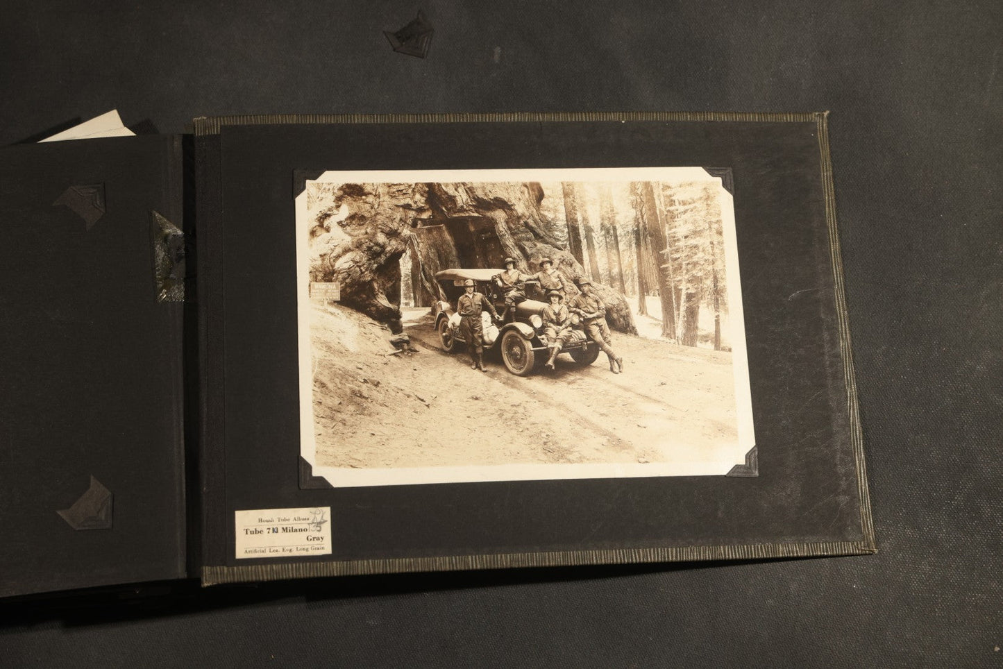 Antique Snapshot Album, Circa WWI Era, 200+ Photographs Including Police Officer on Indian Motorcycle, Pacific Electric Railway, Railroad and Trolley Workers, Woman in Navy Sailor Outfit with Gas Mask, and Beach Scenes