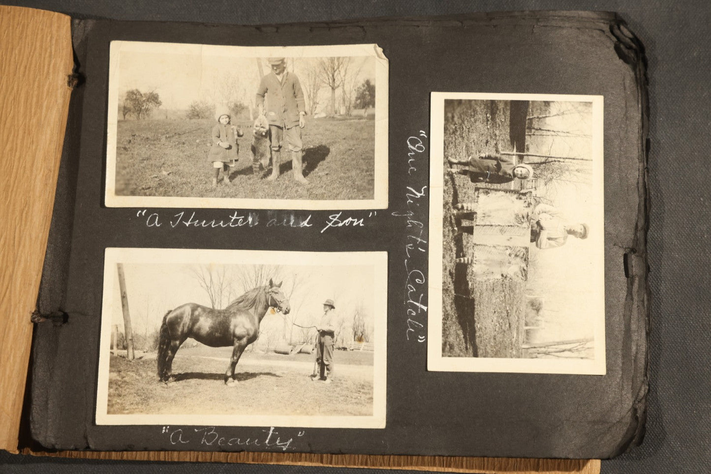 Antique Snapshot Album, Circa 1915-1920, 75+ Photographs with Handwritten Captions Including Horses, Farm Animals, Horse-Drawn Carts, Early Automobiles, Hunting Scenes, and Sailor with Eyeglass