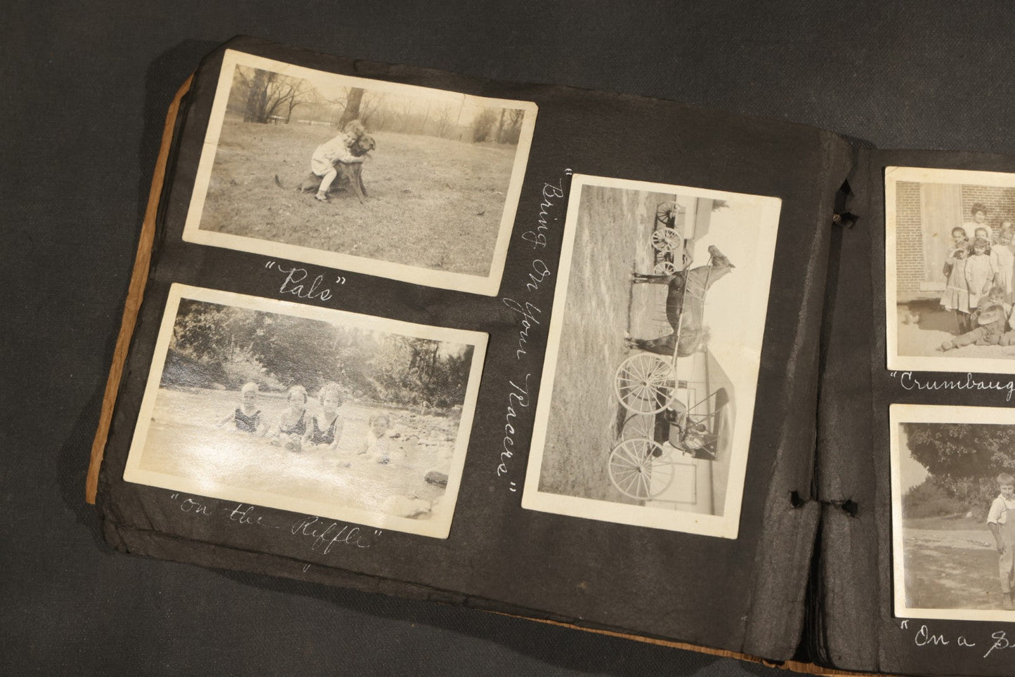 Antique Snapshot Album, Circa 1915-1920, 75+ Photographs with Handwritten Captions Including Horses, Farm Animals, Horse-Drawn Carts, Early Automobiles, Hunting Scenes, and Sailor with Eyeglass