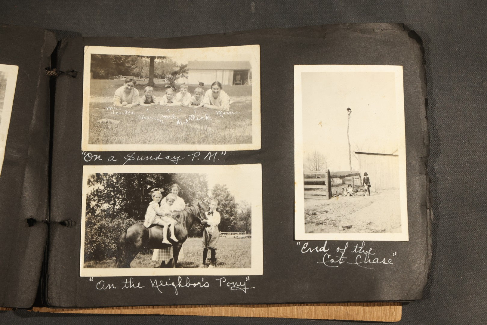 Antique Snapshot Album, Circa 1915-1920, 75+ Photographs with Handwritten Captions Including Horses, Farm Animals, Horse-Drawn Carts, Early Automobiles, Hunting Scenes, and Sailor with Eyeglass